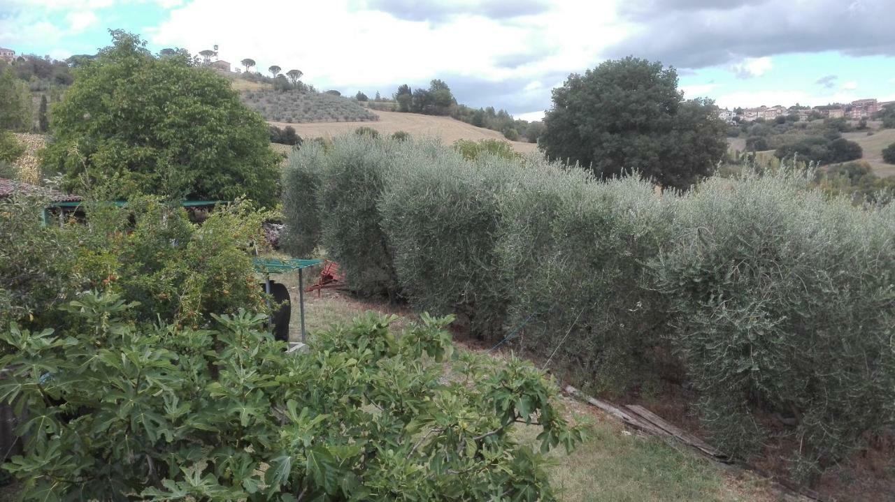 Agriturismo Cerquaglia Todi Exterior photo